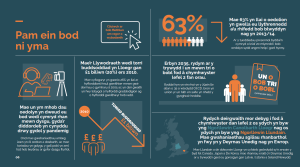 Impact Report - visual 2024-25 for website_Welsh